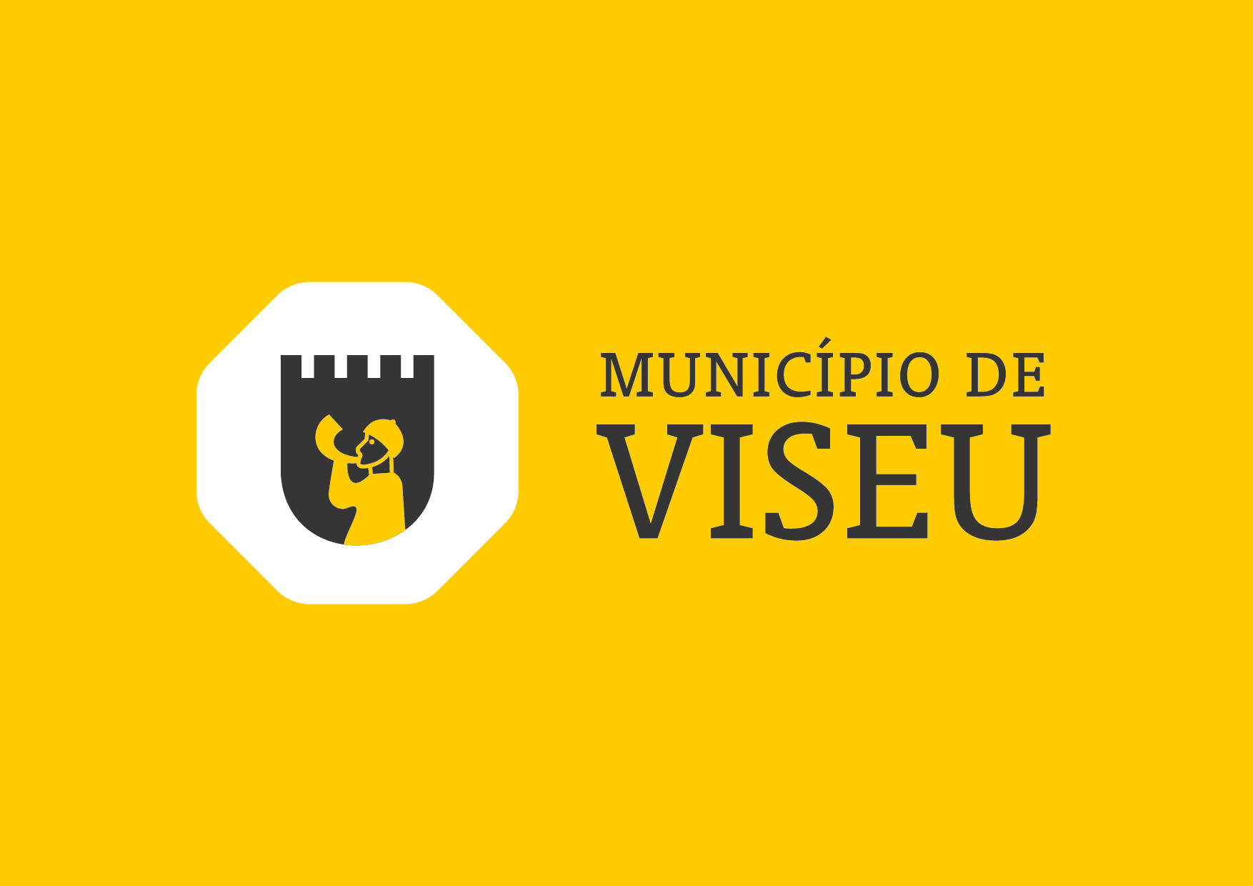 Município de Viseu